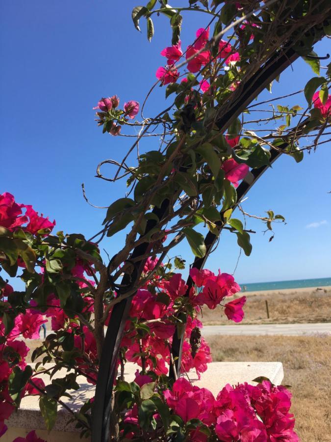 Beach Flat With Garden Castelldefels Buitenkant foto